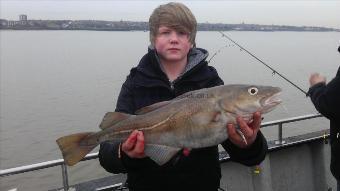 5 lb 2 oz Cod by Unknown