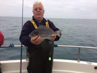 2 lb 8 oz Black Sea Bream by Roy Shipway