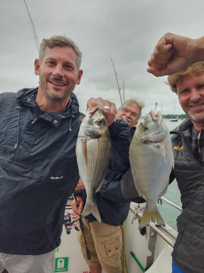 2 lb Gilt-head Sea Bream by wignell and the boys