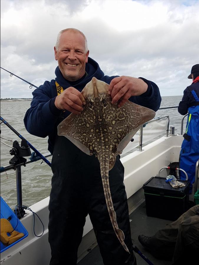 4 lb Thornback Ray by Ian