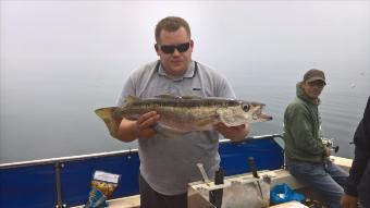 7 lb Pollock by Stephen Wake