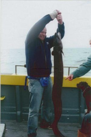 65 lb Conger Eel by Ians mate