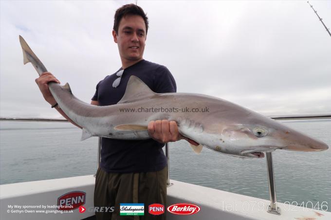 25 lb Tope by Ste