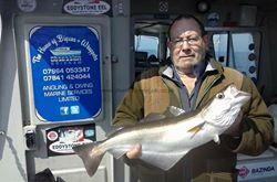 8 lb Pollock by Robin