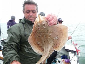 3 lb Cuckoo Ray by Rich