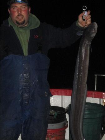 12 lb Conger Eel by Tim Smith Gosling