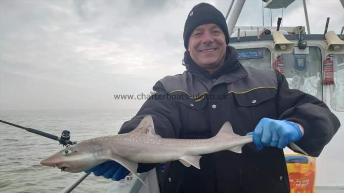 5 lb Smooth-hound (Common) by Dave