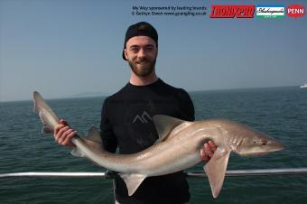 20 lb 2 oz Starry Smooth-hound by Adam