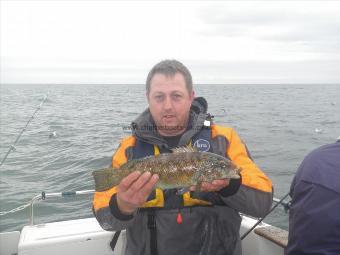 1 lb 8 oz Ballan Wrasse by Stuart Little