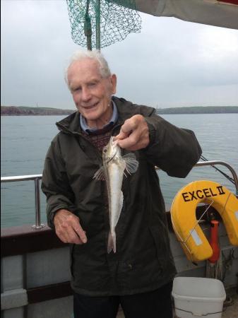 14 oz Grey Gurnard by Mike Tenby A/C