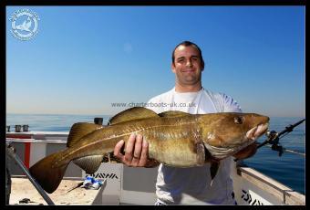 20 lb Cod by Unknown