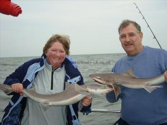 8 lb Smooth-hound (Common) by Derek and Angela