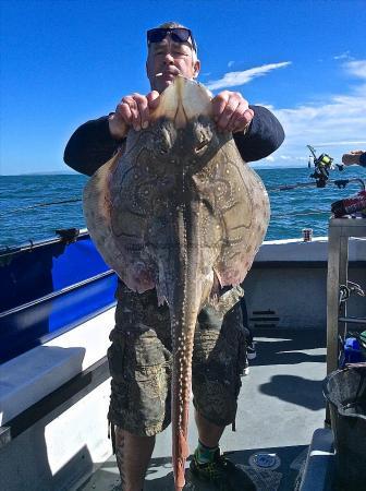 15 lb Undulate Ray by Mark