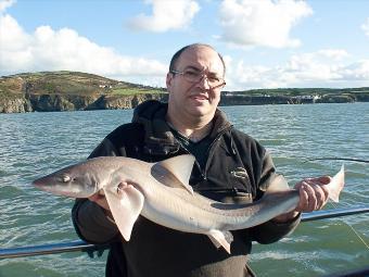 12 lb Starry Smooth-hound by John Bull