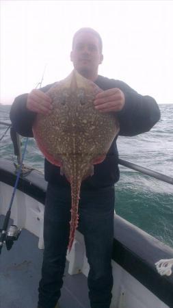 7 lb 2 oz Thornback Ray by gary from medway