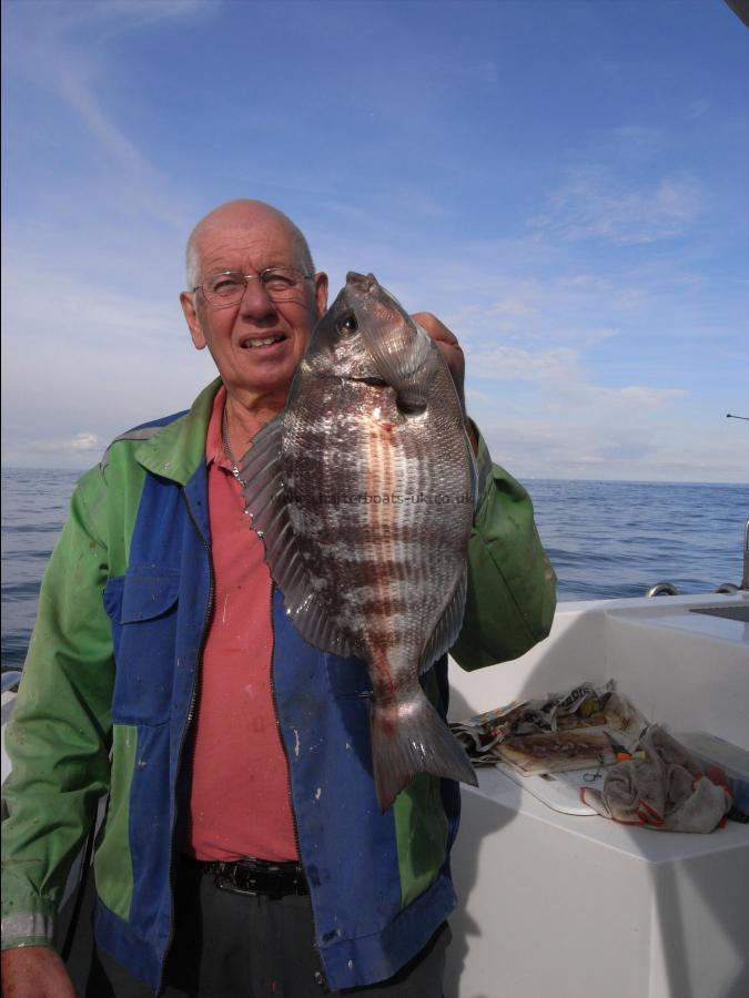 2 lb Black Sea Bream by Unknown