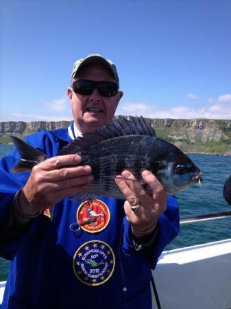 3 lb Black Sea Bream by Robin