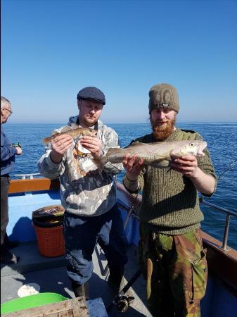 5 lb Cod by Damien and Christian