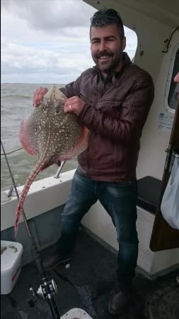 9 lb Thornback Ray by Bob Marshall