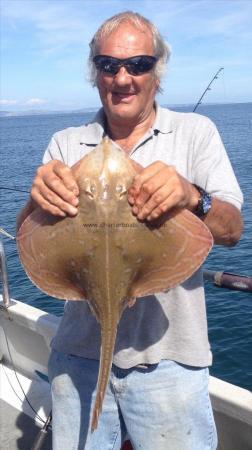 3 lb Small-Eyed Ray by Unknown
