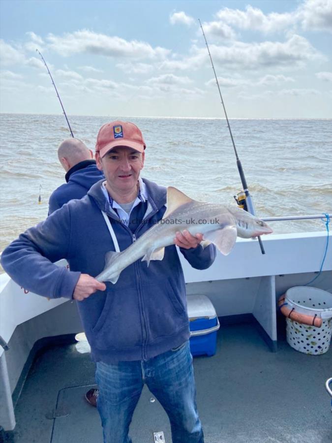 5 lb Smooth-hound (Common) by Brian Forsyth
