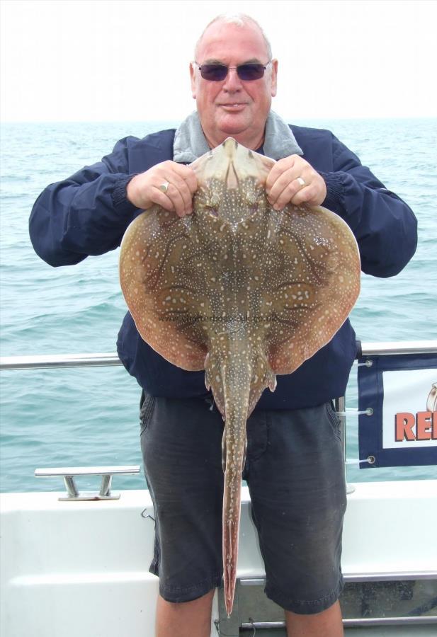 10 lb 8 oz Undulate Ray by Colin Driscoll