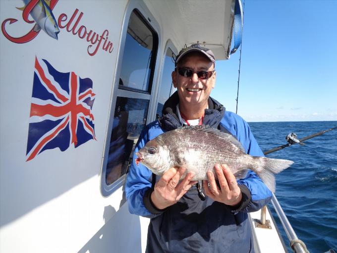 3 lb 6 oz Black Sea Bream by Nigel