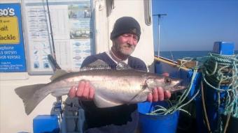 8 lb 13 oz Pollock by Unknown