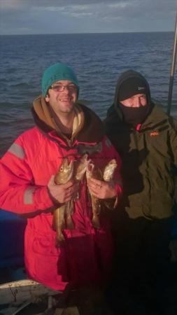 2 lb Cod by Dave Gaches