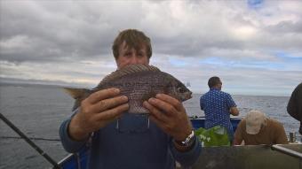 2 lb Black Sea Bream by Stephen Wake