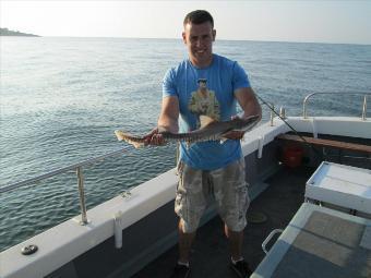 4 lb 7 oz Starry Smooth-hound by Unknown