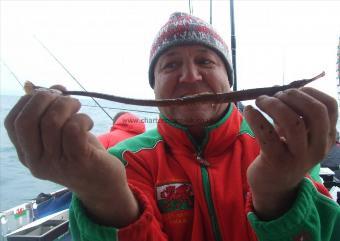 2 oz Greater Pipe Fish by Rod Adamson