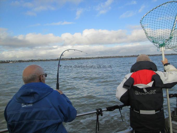 10 lb 5 oz Thornback Ray by Another nice ray about to be netted