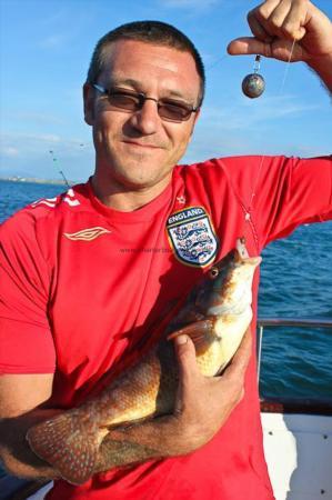 2 lb Ballan Wrasse by Mark