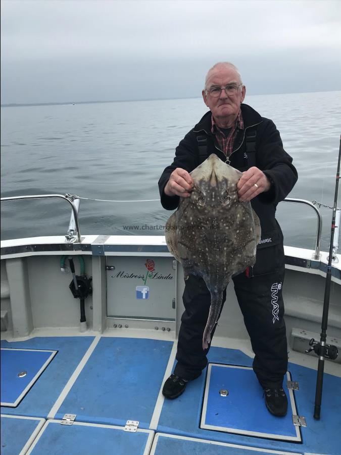 13 lb Undulate Ray by Tony