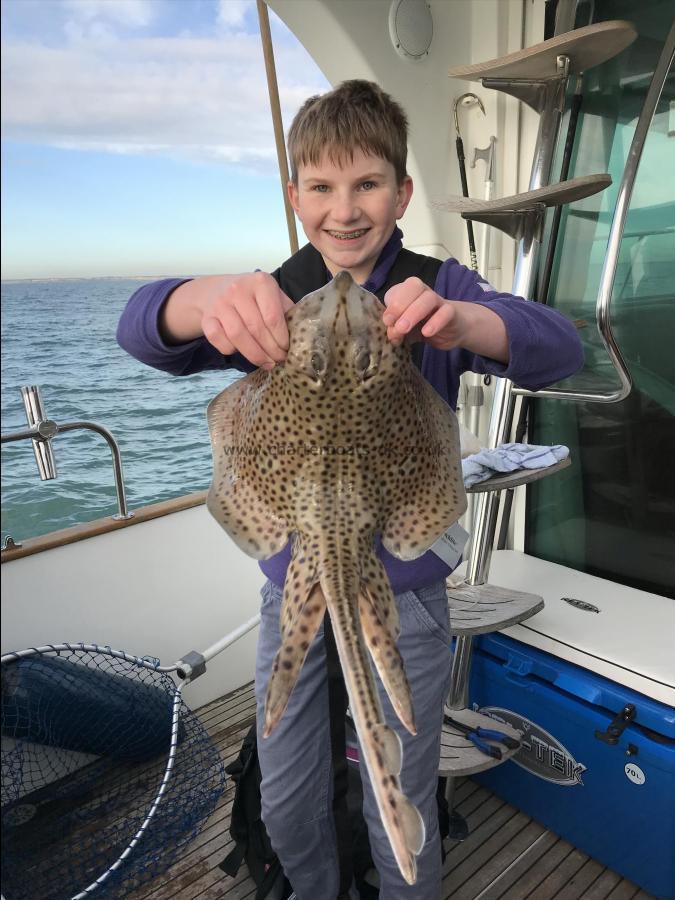 4 lb Spotted Ray by Lewis Kelley