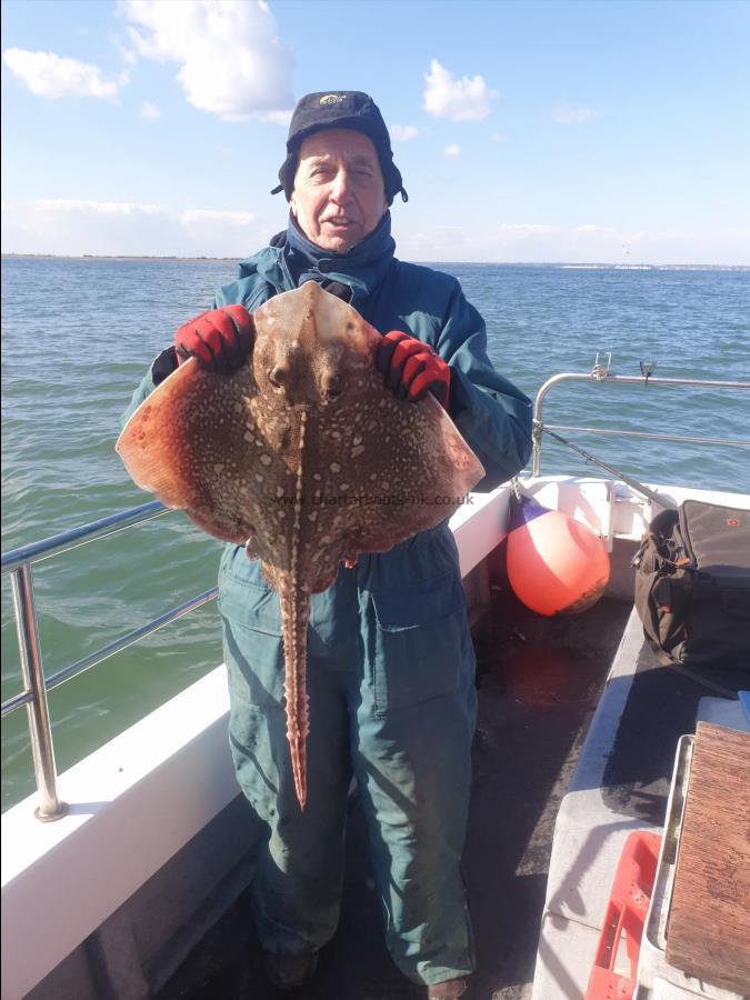 9 lb Thornback Ray by Bob Marshall