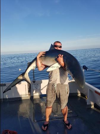 84 lb 6 oz Blue Shark by Chris jones