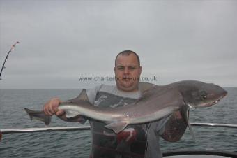 16 lb Starry Smooth-hound by Danny