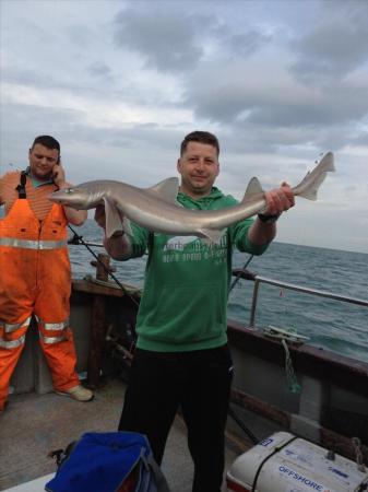 8 lb Smooth-hound (Common) by Unknown