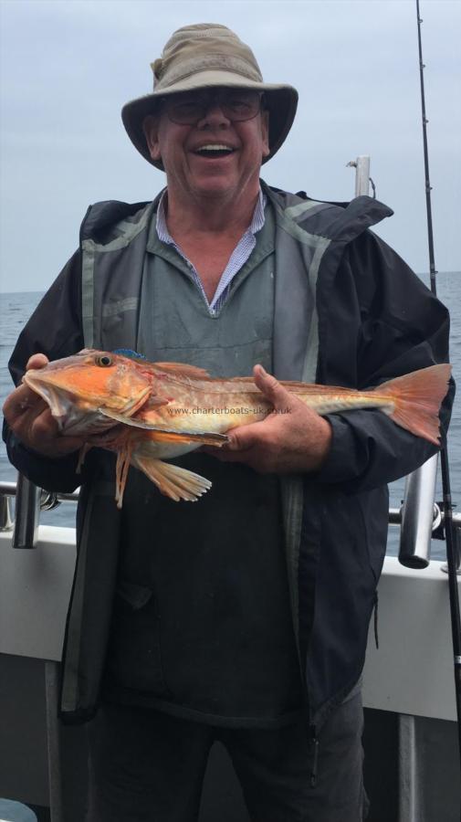 5 lb 6 oz Tub Gurnard by David