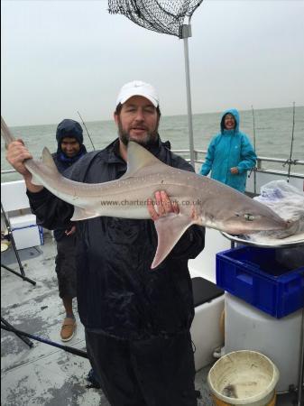 22 lb 3 oz Starry Smooth-hound by Unknown