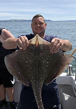 6 Kg Thornback Ray by Mark