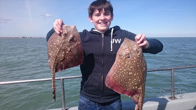 5 lb 7 oz Thornback Ray by Dan from Ramsgate