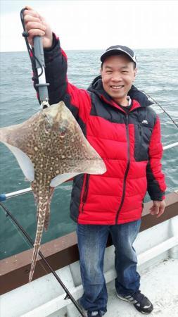 4 lb 10 oz Thornback Ray by Unknown