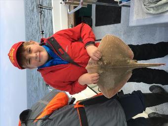 7 lb 6 oz Small-Eyed Ray by Steve Pilbrow