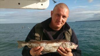 4 lb 7 oz Haddock by max