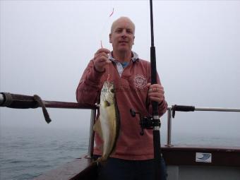 2 lb 4 oz Pollock by Mr S from Norfolk