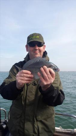 2 lb Black Sea Bream by Unknown