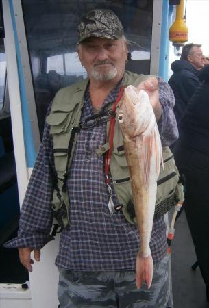 3 lb 2 oz Tub Gurnard by Phil Milford